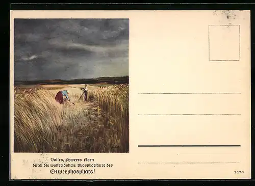 AK Voller, schweres Korn durch die wasserlösliche Phosphorsäure des Superphosphats!, Feldarbeiter
