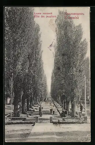 AK Kislovodsk, Allée des peupliers
