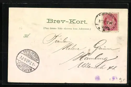 Lithographie Naerö-Fjord, Panorama