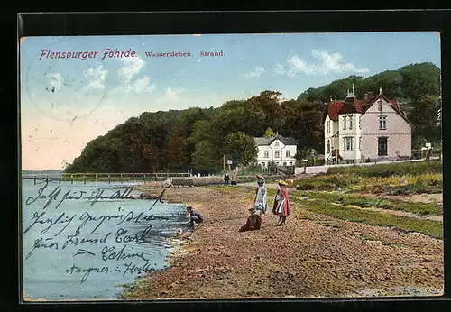AK Wassersleben, Flensburger Föhrde, Strand