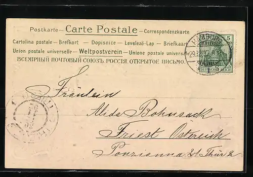 AK Jahreszahl 1903 mit Stechpalmenzweigen