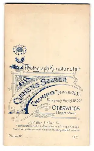 Fotografie Clemens Seeber, Chemnitz, blühende Sonneblume über der Anschrift des Ateliers