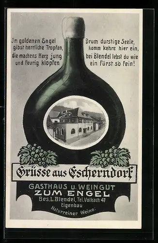 AK Escherndorf a. M., Gasthaus und Weingut zum Engel, Ansicht auf Bocksbeutel
