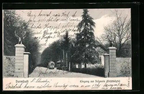 AK Darmstadt, Strassenbahn am Eingang zur Fasanerie, Hirschköpfe