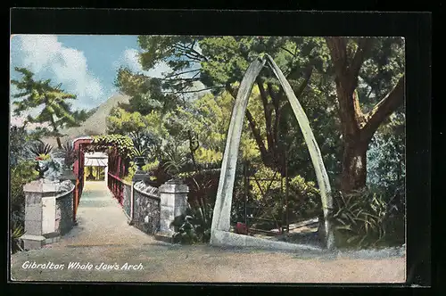 AK Gibraltar, Whale Jaw`s Arch, Walkiefer-Bogen