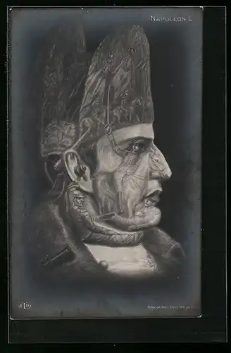 Künstler-AK Zeichnung von Napoleon I., Metamorphose
