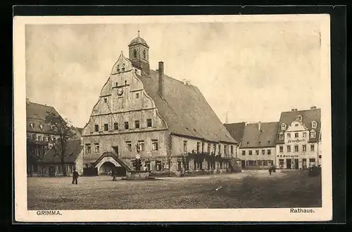 AK Grimma, Rathaus und nähere Umgebung