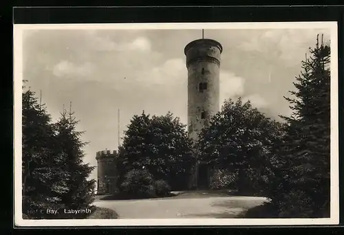 AK Hof i. Bay., Labyrinth mit Bäumen