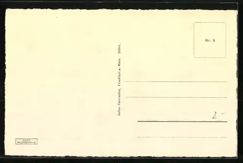 AK Friedberg i. H., Stadtkirche aus der Vogelschau