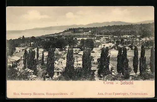 AK Sotschi, Panorama