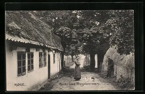 AK Koge, Parti ved Blegdammen