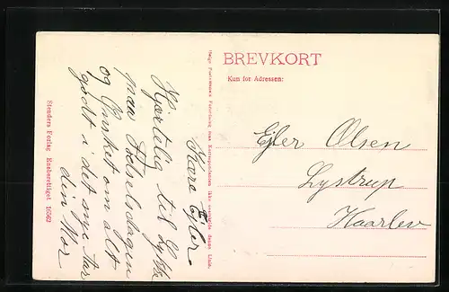 AK Koge, Parti ved Blegdammen