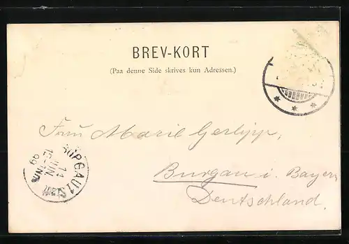 AK Frederikshavn, Panorama