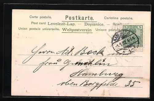 AK Jahreszahl 1902 mit Kleeblatt und Veilchen