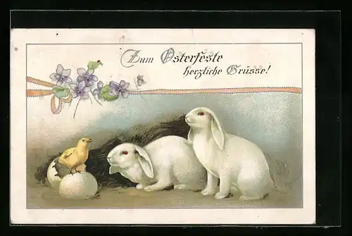 AK Osterhasen erblicken geschlüpftes Küken