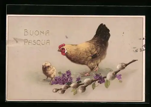 AK Osterküken und Hahn, Buona Pasqua