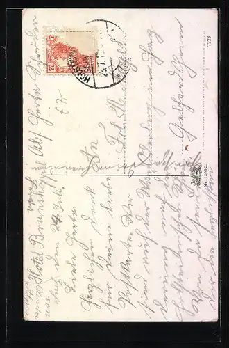 AK Bruhnskoppel i. Holst. Schweiz, Hotel Bruhnskoppel mit Turm