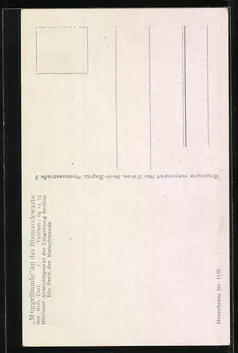 AK Berlin-Köpenick, Bismarckwarte auf den Müggelbergen