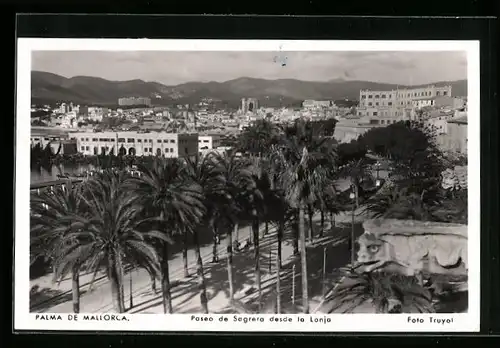 AK Palma de Mallorca, Paseo de Sagrera desde la Lonja