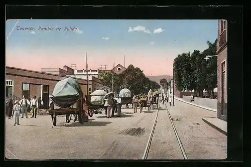 AK Tenerife, Rambla de Pulido