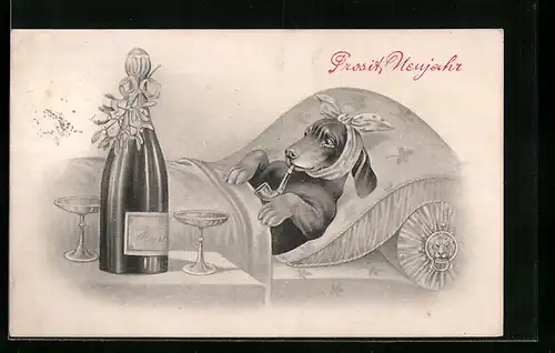 AK Pfeife rauchender Dackel im Bett mit Champagnerflasche