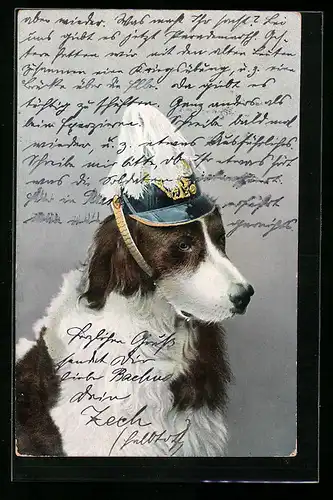 AK Hund mit Pickelhaube, vermenschlichte Tiere