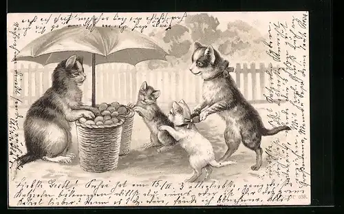 AK Vermenschlichte Katzen kaufen Obst an einem Marktstand