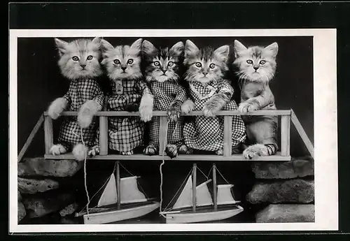 Foto-AK Kater und vier Katzen mit Spielzeugbooten, vermenschlichte Tiere