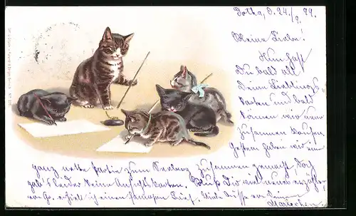 AK Vermenschlichte Katzen beim Schreibunterricht