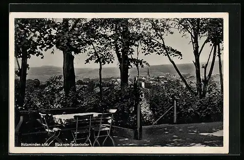 AK Holzminden a. W., Blick vom Gasthaus Felsenkkeller auf den Ort
