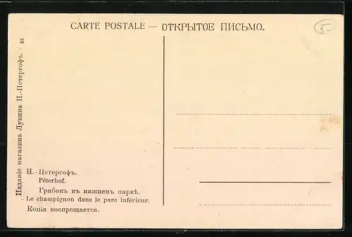AK Péterhof, Le champignon dans le parc inférieur