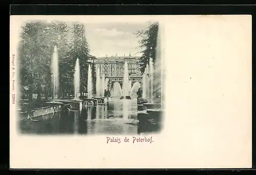 AK Peterhof, Palais, Partie am Schloss