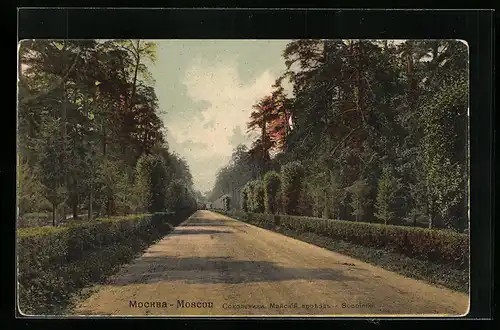 AK Moscou, Socolniki