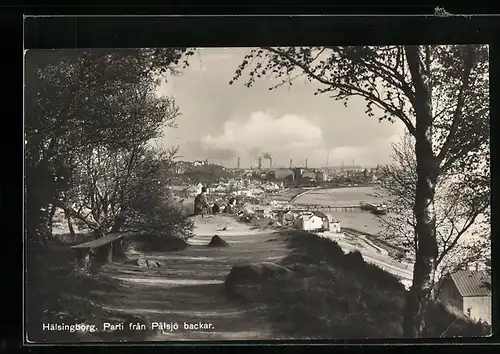AK Hälsingborg, Parti fran Palsjö backar