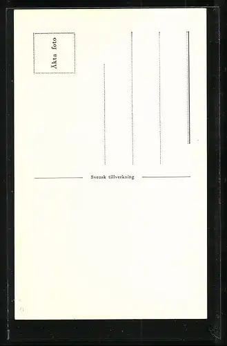 AK Hälsingborg, Terassen med Kärnan