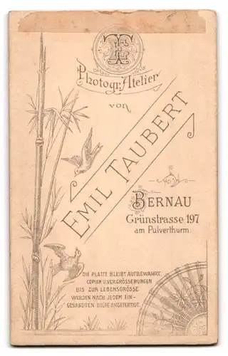Fotografie Emil Taubert, Bernau, Grünstr. 197, Junger Herr im Anzug mit Fliege
