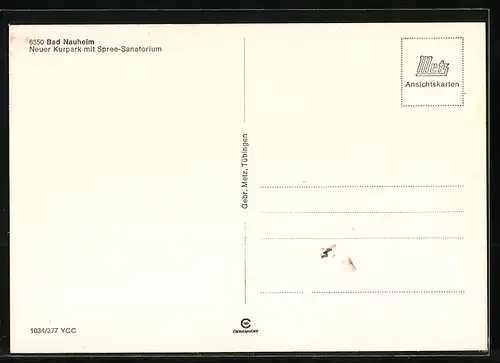 AK Bad Nauheim, Neuer Kurpark mit Spree-Sanatorium