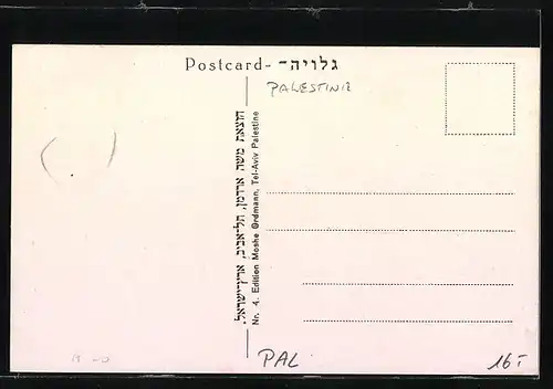 AK Tel-Aviv, Jehuda-Halevi Str.