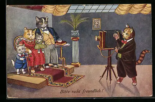 Künstler-AK Bitte recht freundlich!, Katzenfamilie beim Fotograf, vermenschlichte Tiere
