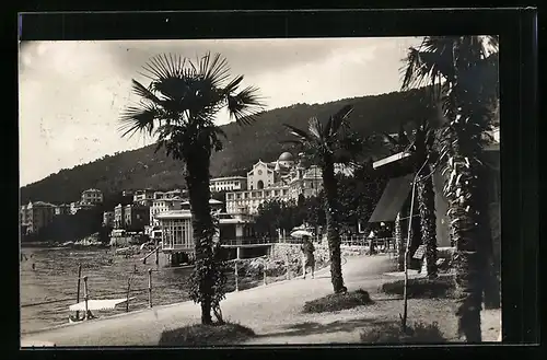 AK Abbazia, Palme mit Wasserpartie
