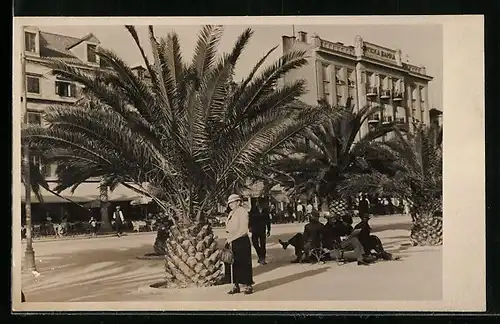 AK Split, Flaneure und Palmen auf der Promenade