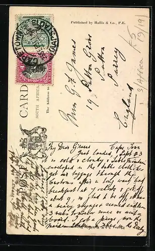 AK Cape Town, Flower Sellers