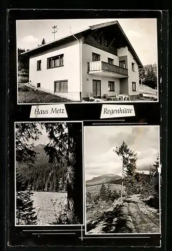 AK Regenhütte, Pension Haus Metz, Seepartie