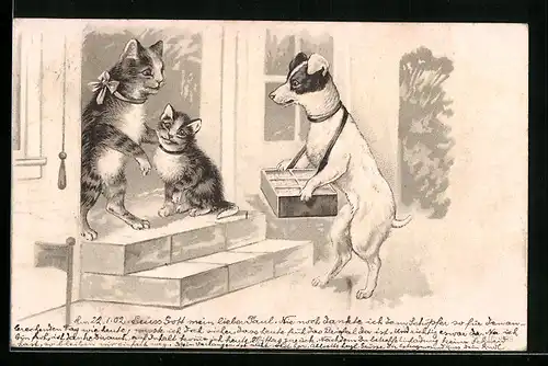 Präge-AK Terrier steht bei zwei Katzen vor der Tür, vermenschlichte Tiere
