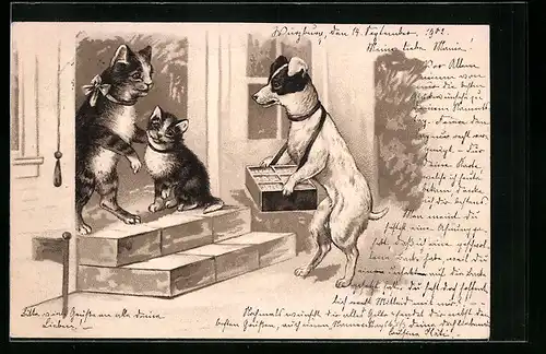 Präge-AK Terrier steht bei zwei Katzen vor der Tür, vermenschlichte Tiere