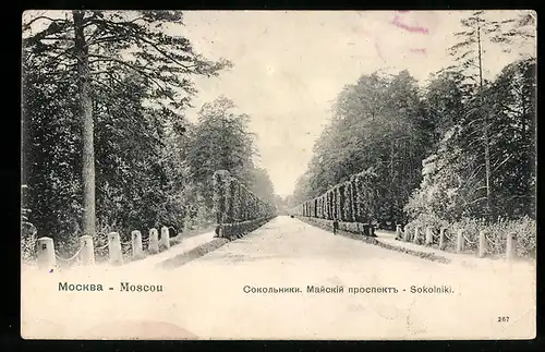 AK Moscou, Sokolniki