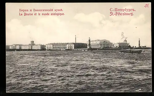 AK St. Petersbourg, La Bourse et le musée zoologique