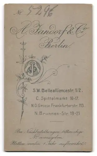 Fotografie A. Jandorf & Co., Berlin, Bellealliancestr. 1-2, Modisch gekleideter Junge mit Gewehr