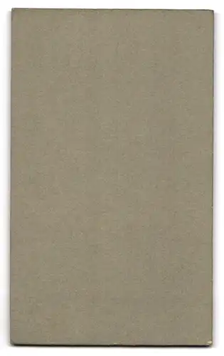 Fotografie Rudolf Zacharias, Regensburg, Ob. Bachgasse 23, Bürgerliche Dame mit moderner Frisur