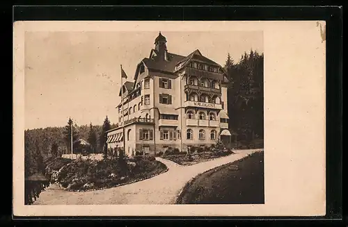 AK Freudenstadt, Hotel-Kurhaus Waldlust E. Luz mit Anlagen